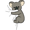 Koala eats fabric