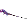 echse,reptil,leguan,bunt,pink