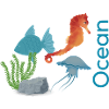 Ocean