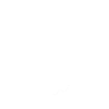 Anatomie d'un Roller Quad