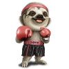 BOXING SLOTH 2022