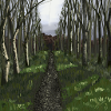 Woodland path
