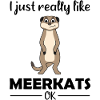 Meerkat Lover Funny Saying Gift