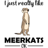Meerkat Lover Funny Saying Gift