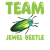 Team Magnificent Beetles