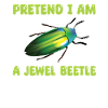 Magnificent beetles