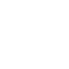 Seagull - North Sea