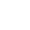 Roller quad Disco Party