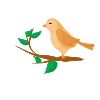 you have a bird