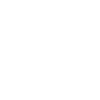 Brow Artist
