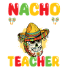 Nacho Average Teacher