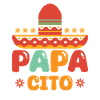 Papa Cinco De Mayo