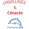 Coquillages et cétacés