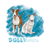 Bulitastisch