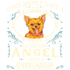 Chihuahua Dog