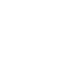 Chihuahua Dog