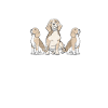 Beagle Coffee