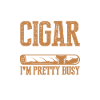 Cigare Fumeur Tabac Cigare Cadeau
