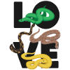 Snake Serpent Love