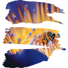 Une abeille en peinture