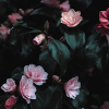 Blumen