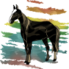Pferd