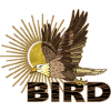 Greifvogel