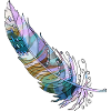 Feather
