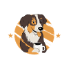 Australian Shepherd Dog