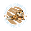 Gecke Lizard Reptile Lizard Lizard