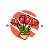 Tulip Flowers Tulips Garden Gardener