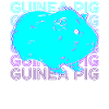 Guinea Pig Retro