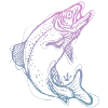 Salmon