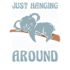 Koala Koalas Koala Bear Animal