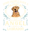 Labrador Dog