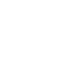 Labrador Dog