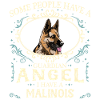 Malinois Dog