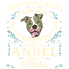 Pitbull Dog