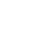 Pomeranian Dog Dog Owner