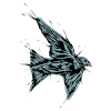 Vogel Schwalbe