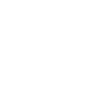WESTPHALIEN DACHSBRACKE Profil Chiens Wilsigns