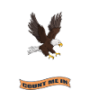 Golden Eagle Falconry Eagle Falcon Wildlife