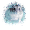 dværg hamster, hamster, hvid, graffiti, maleri