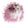 zwerghamster,hamster,weiss,graffiti,malerei,rosa