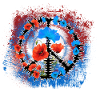 Peace / Poppies Peace Sign