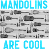 Mandolins are cool