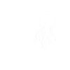 Jellyfish Heartbeat