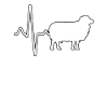 Sheep Heartbeat
