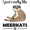 Meerkat Lover Funny Saying Gift