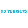 BD Terrier